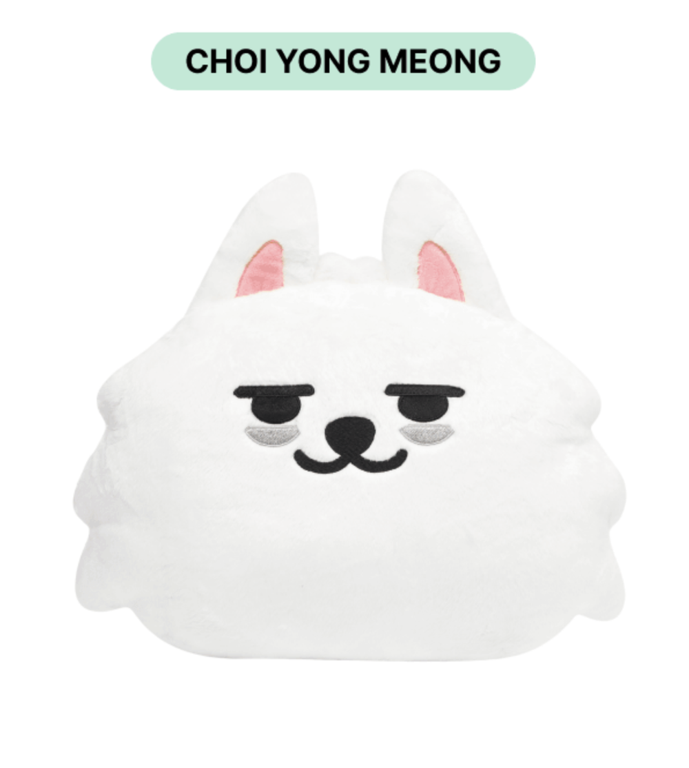 Подушка PPULBATU PLUS X TOGETHER