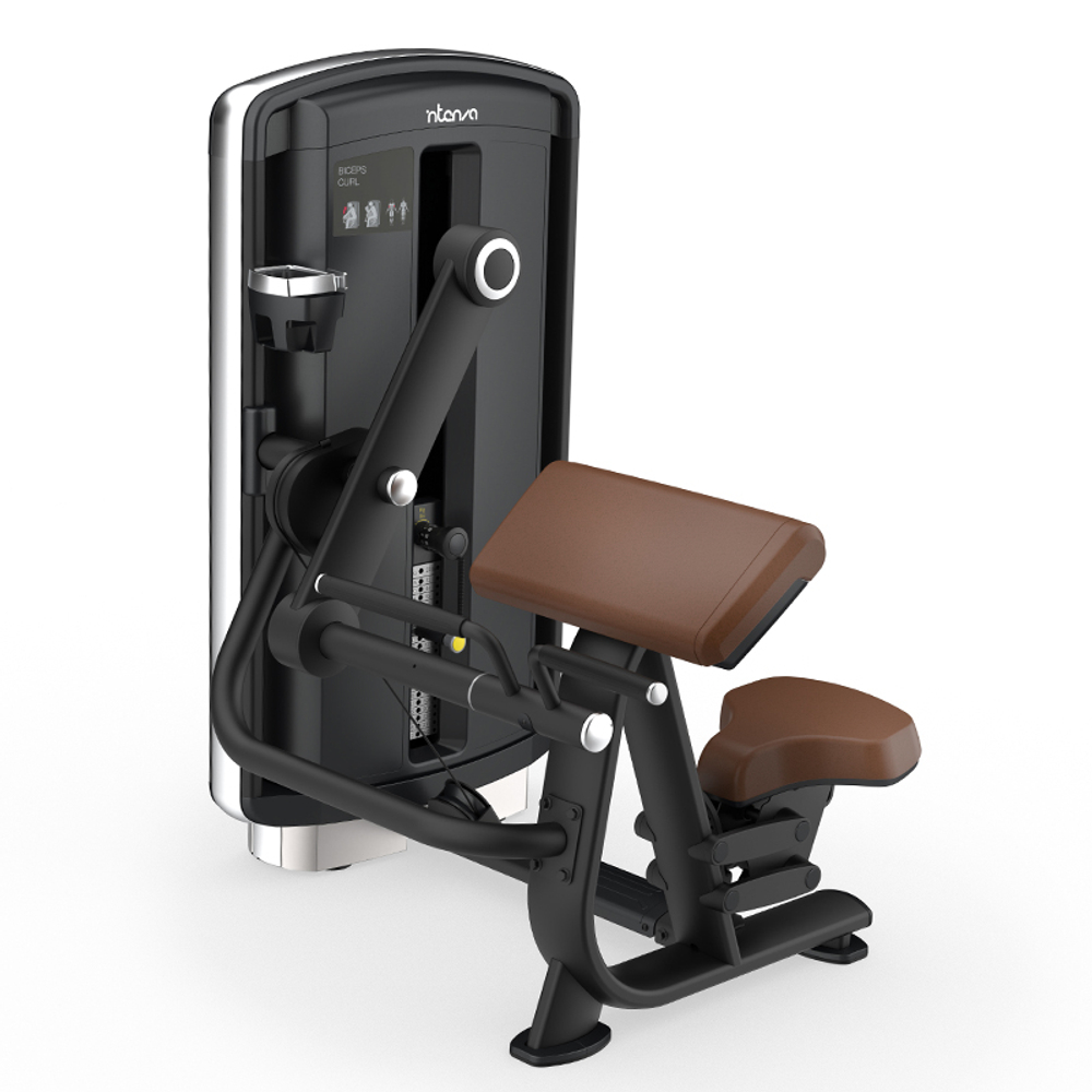 Бицепс машина INTENZA DEZIGN "Бицепс" DL-01