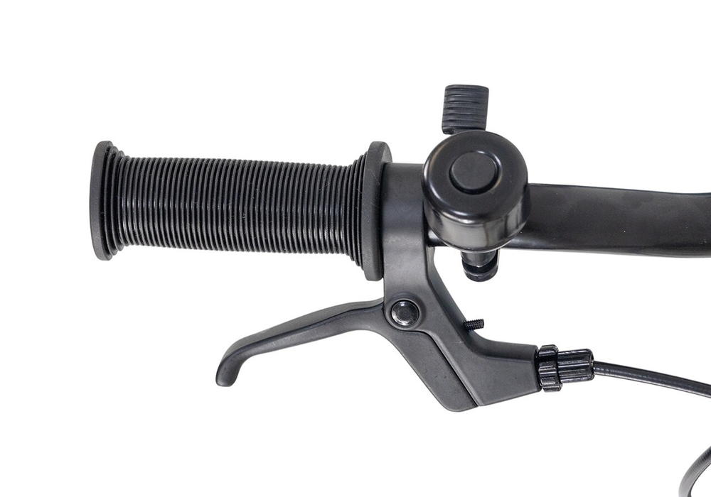 Maxiscoo AIR STELLAR 20'' (2025)