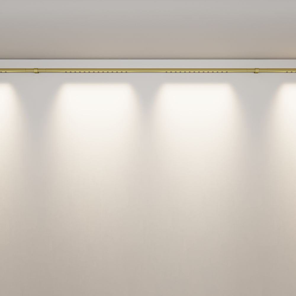 Трековый штанговый светодиодный светильник Maytoni Axity Points C101CL-L1000-24W3-6K-BS