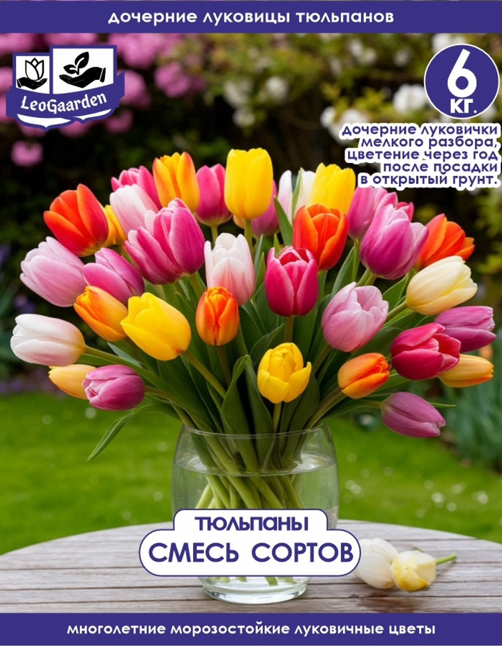 Тюльпан Луковица, дочерние, 6 кг