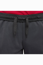 Штаны Nike Liverpool FC 22/23 Dry Academy Pro Little Kids
