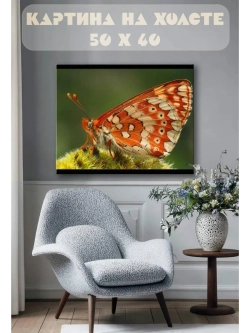 Картина на стену 40 X 50 Бабочка
