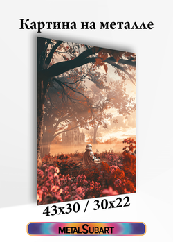 Картина на стену на металле от MetallSubArt "Звездные войны"