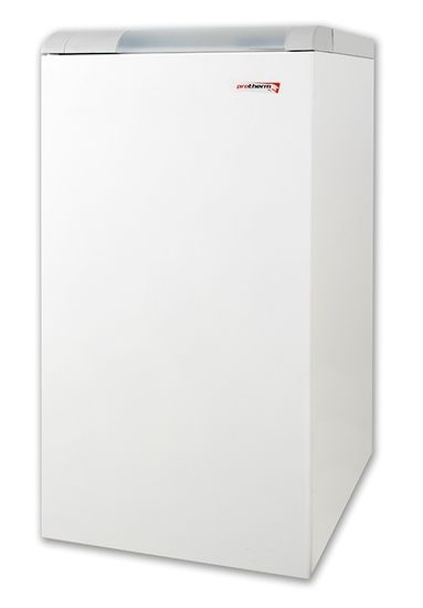 Газовый котел Protherm Медведь 20 TLO