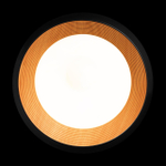 Потолочный светодиодный светильник Loft It Folk 10255/500 Black