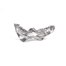 Статуэтка Wunderkammer Shark Jaw