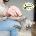 Лакомство с Индейкой для кошек Dreamies, 140г