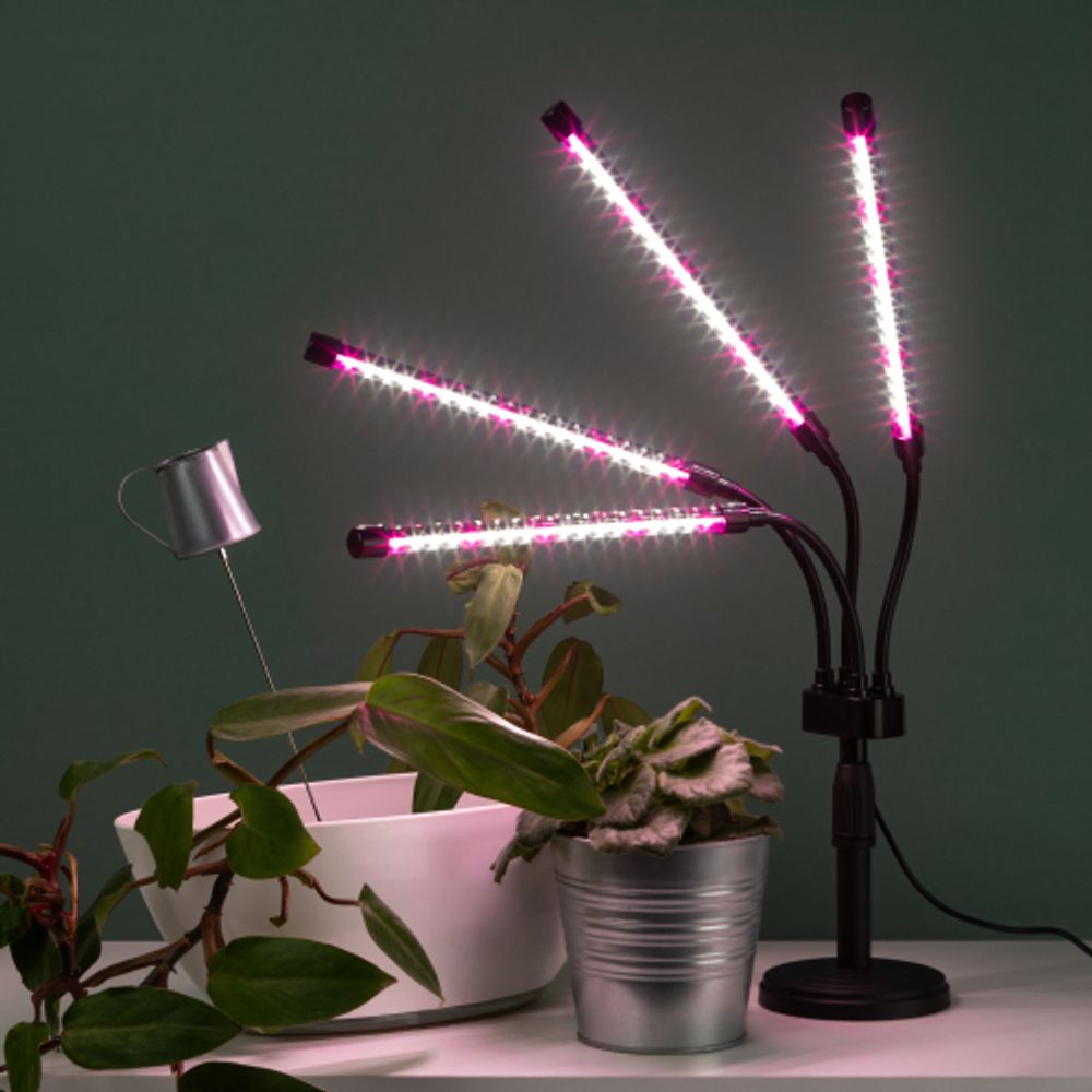 Настольный светильник для растений ЭРА FITO-40W-АLED-Ra-USB полного спектра 40 Вт черный