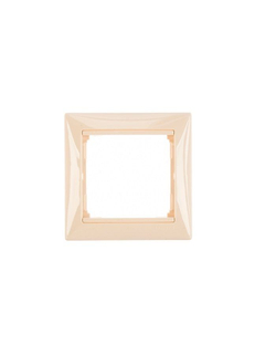 Legrand розетка 4131 INT с рамкой 1 с/к