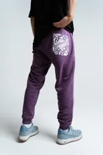 Брюки PPZ Фиолетовые