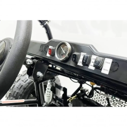 Багги Green Camel Намиб T10 (60V 2000W R8 Дифф)