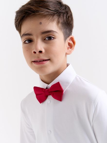 Галстук-бабочка "Бордо"