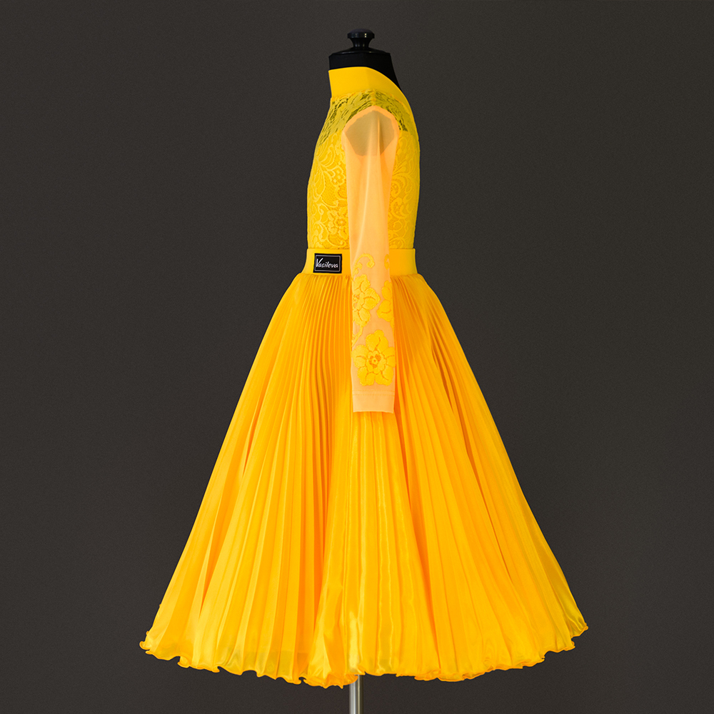 atele-po-poshivu-odezhdy-dlya-balnykh-tancev