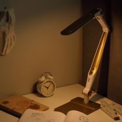 Настольный светильник ЭРА NLED-497-12W-G светодиодный на струбцине и с основанием золото