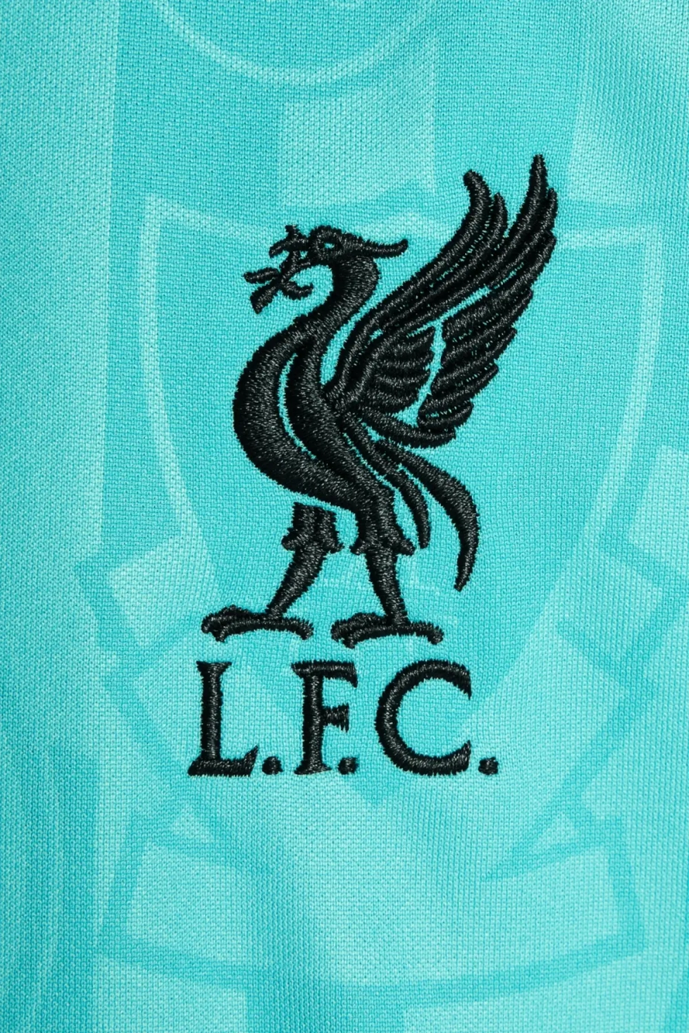 Футболка Nike Liverpool FC 24/25 Pre-Match Junior - голубой