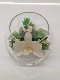 натуральные цветы в стекле, вакуум