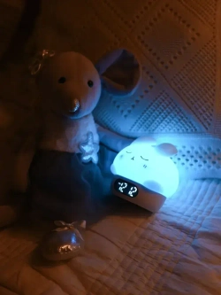 Часы ночник будильник детские силиконовые PROLAAL , с календарем и с температурой, с подсветкой.