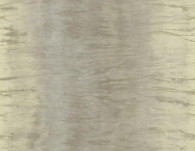 Обои Carl Robinson Edition 2 24408 CB