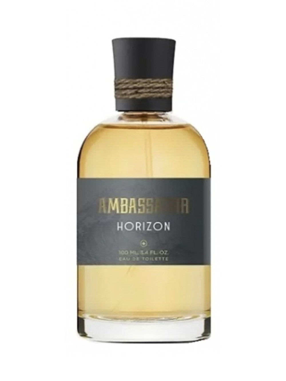 GENTY AMBASSADOR HORIZON men 100ml edt