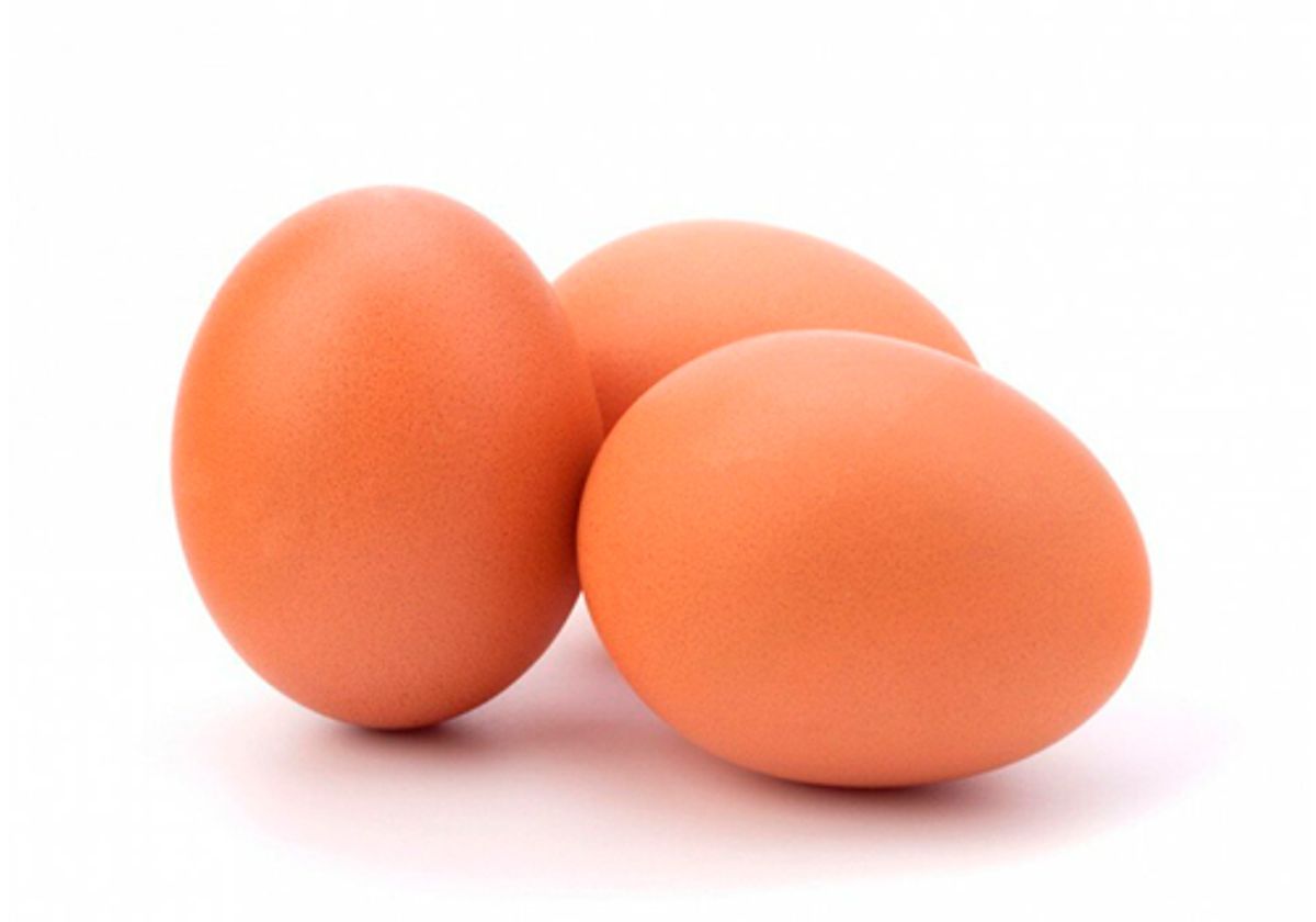 Яйца кур-молодок "Первое фермерское хозяйство", 10шт