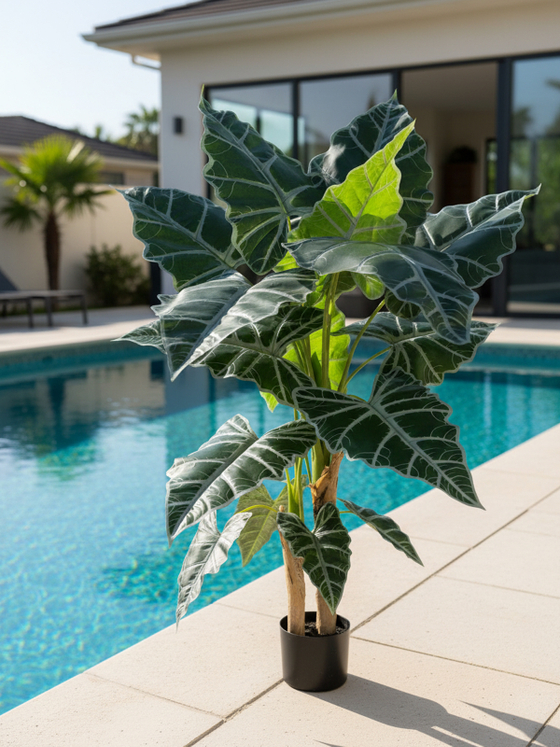 Искусственное растение Алоказия 150см в кашпо