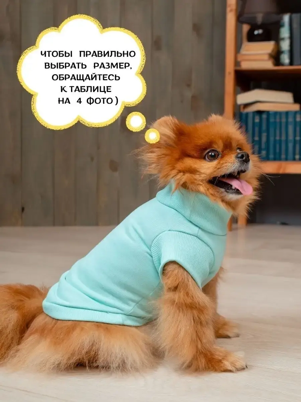 Футболка для собак мелких средних пород и кошек