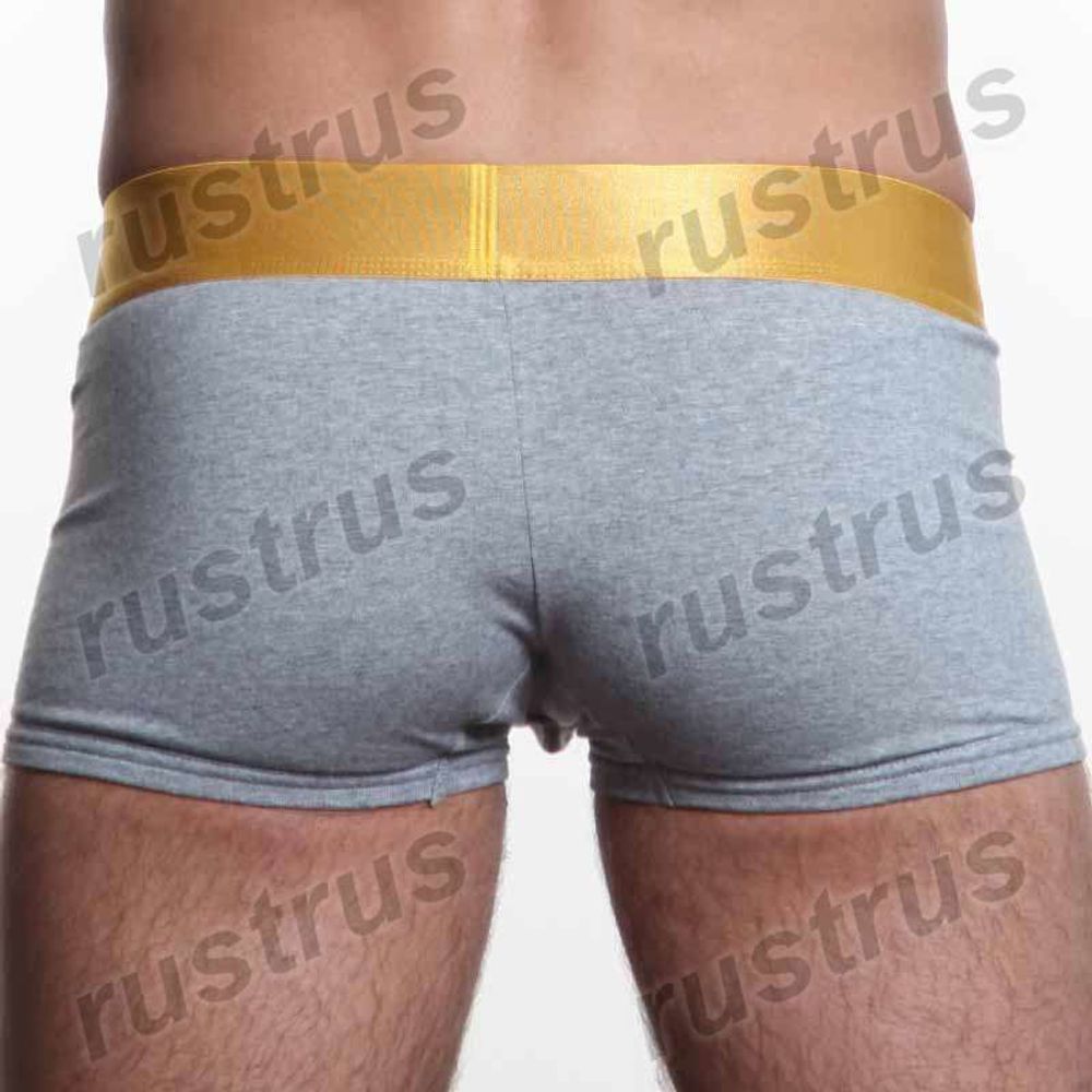 Мужские трусы хипсы серые Calvin Klein Mens Steel Gold