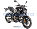 Мотоцикл Regulmoto ALIEN MONSTER 300