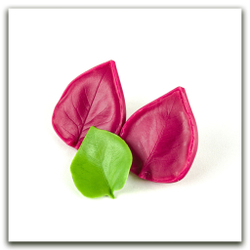 Листья сирени большие