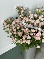 АКЦИЯ - нежно розовая кустовая роза - цена действует при заказе от 25шт