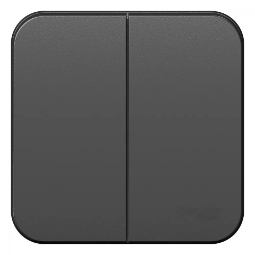 BLANCA О/У 2-клавишный ВЫКЛЮЧАТЕЛЬ (сх.5), 10А, 250В, АНТРАЦИТ