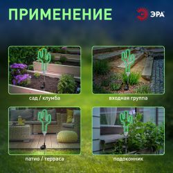 ERASF012-31 ЭРА Садовый неоновый светильник Кактус на солнечной батарее