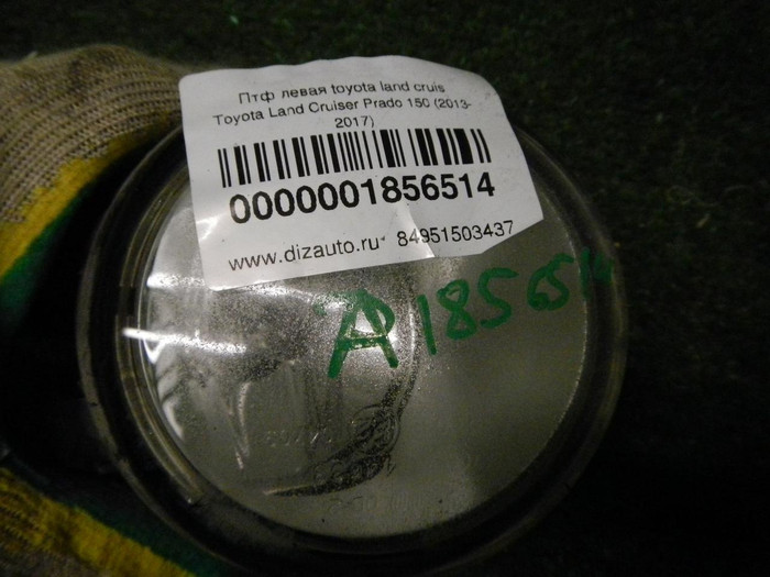 DSCN2737.JPG