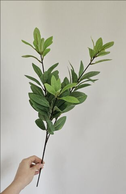 Эвкалипт / Арт 1252