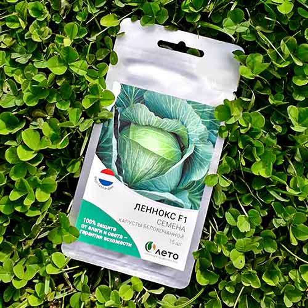 Семена капусты белокочанной Леннокс F1, Bejo