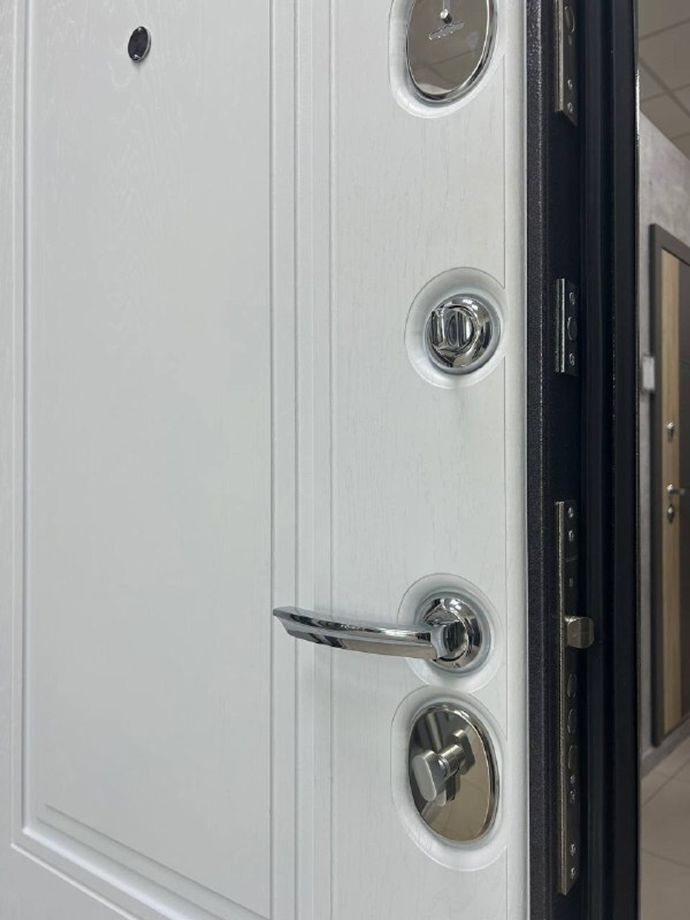 Дверь входная Арктика