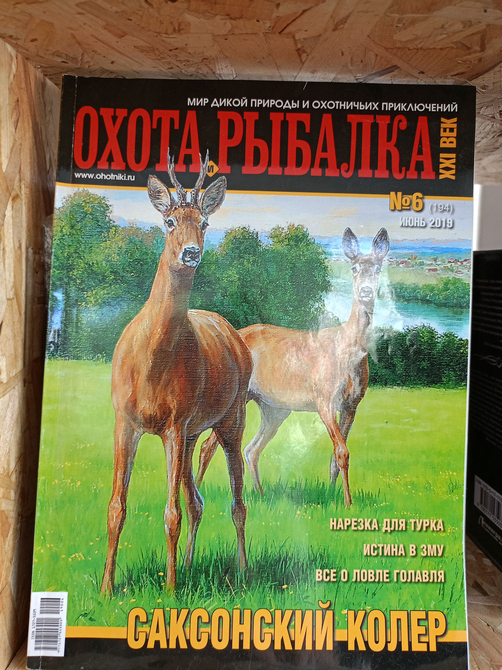 Охота и рыбалка 21 век №6 2019 год (Саксонский колер)