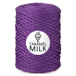 Шнур Caramel Milk, 3мм, 300м, 100% полиэфир (1 шт.)