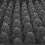 Кейс UDG Ultimate Pick Foam Flight Case Multi Format L Black