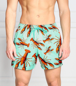 шорты для плавания moorise Vilebrequin - голубой(MSOC3F17)