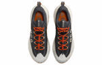 Кроссовки Nike Acg Mountain Fly 2 Low Gore-Tex