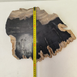 Набор из окаменелого дерева 4 предм Fossil Set NF-63292 поднос 149