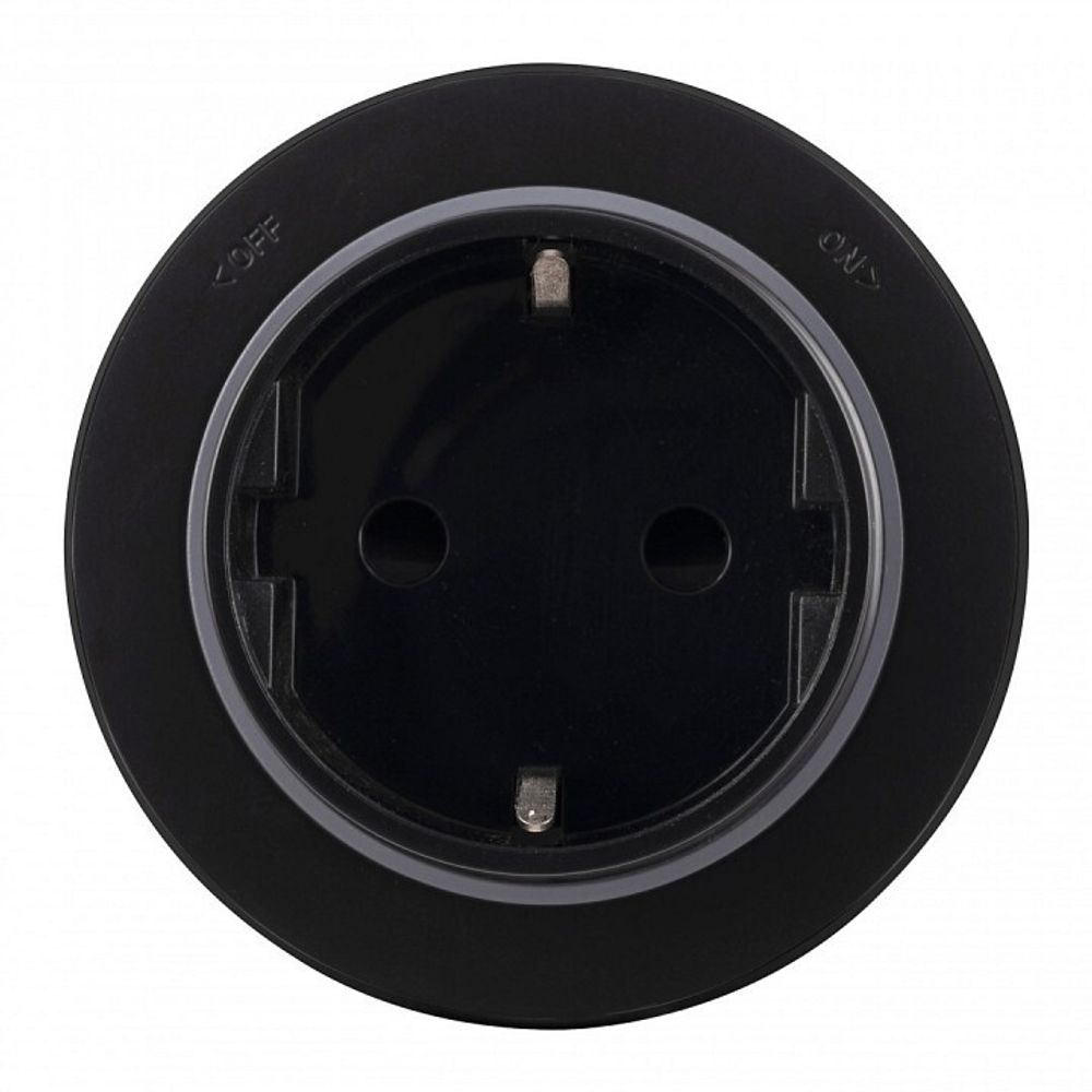 Розетка с заземлением на треке Arte Milano Am-track-sockets-39 397951TS/ES Black