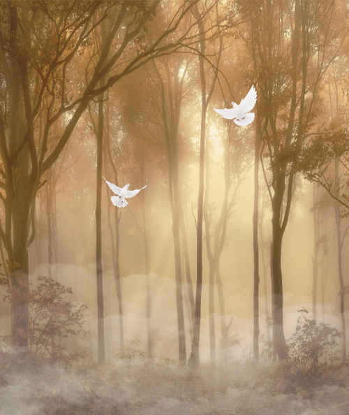 Дизайнерские №797 Фотообои и Фрески