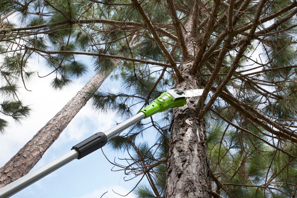 Аккумуляторный сучкорез (высоторез) Greenworks G24PS20K2,2000107UA, 24v, 20 см, АКБ 2 А·ч и ЗУ