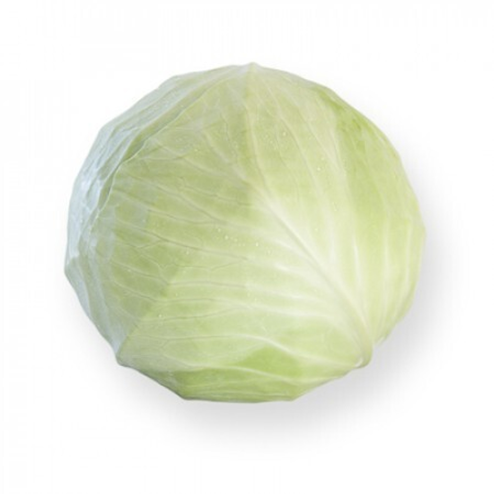 Муксума F1 семена капусты белокочанной (Rijk Zwaan / Райк Цваан)