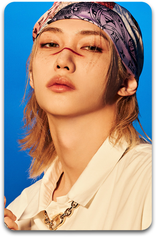 Карта / STRAY KIDS #4229