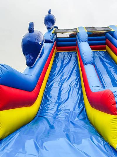 Водная горка «Дельфины» с бассейном 15*7*8 м