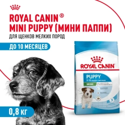 Royal canin mini puppy сухой корм для щенков мелких пород до 8 месяцев - 800 г
